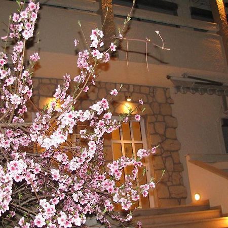 Villa Kokkinos Potos Bagian luar foto